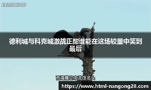 ng娱乐